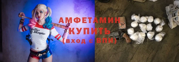 прущие грибы Осинники