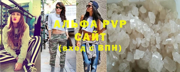 прущие грибы Осинники