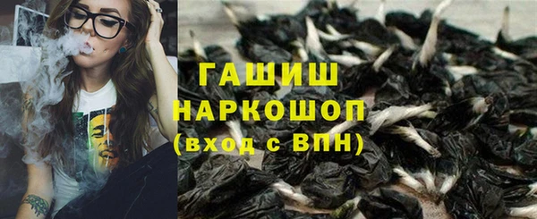 прущие грибы Осинники