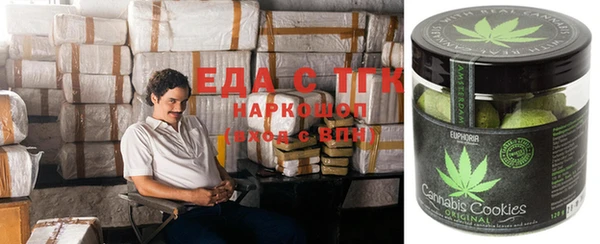 прущие грибы Осинники