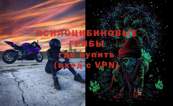 прущие грибы Осинники