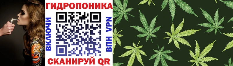 ссылка на мегу сайт  где продают наркотики  Зея  Шишки марихуана ГИДРОПОН 